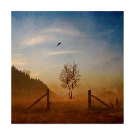 Trademark Fine Art Philippe Sainte-Laudy 'Open Space' Canvas Art, 24x24 ALI44230-C2424GG